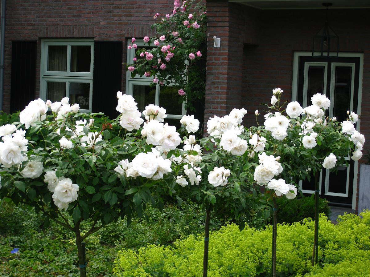 B&B Aan De Burgt Boekel Exterior foto