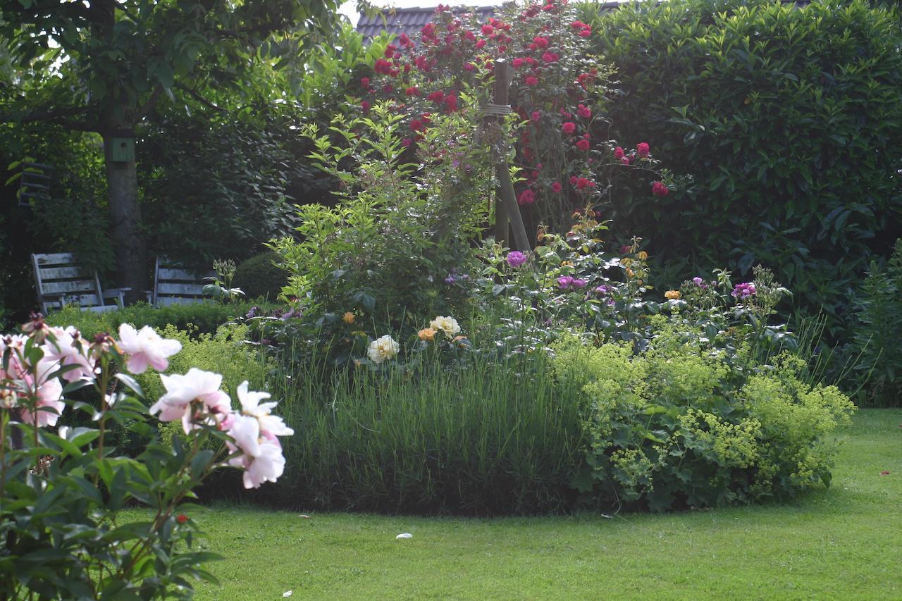 B&B Aan De Burgt Boekel Exterior foto